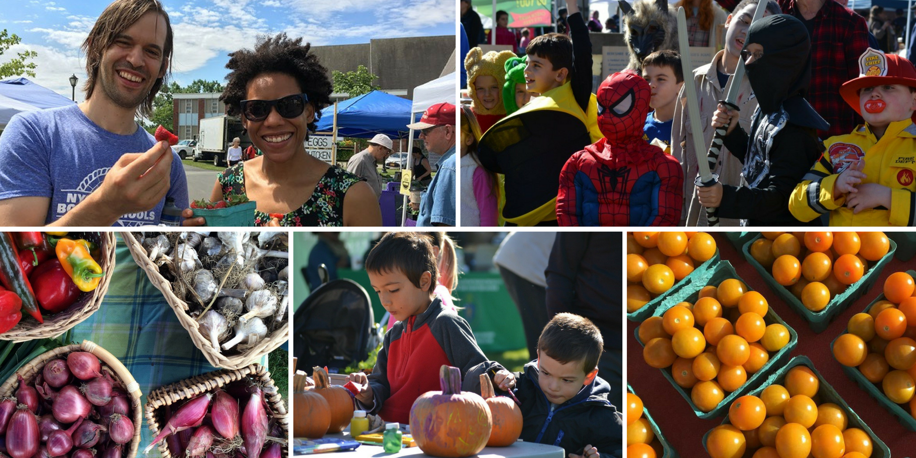 Harvest Festival, Downtown Pittsfield, MA