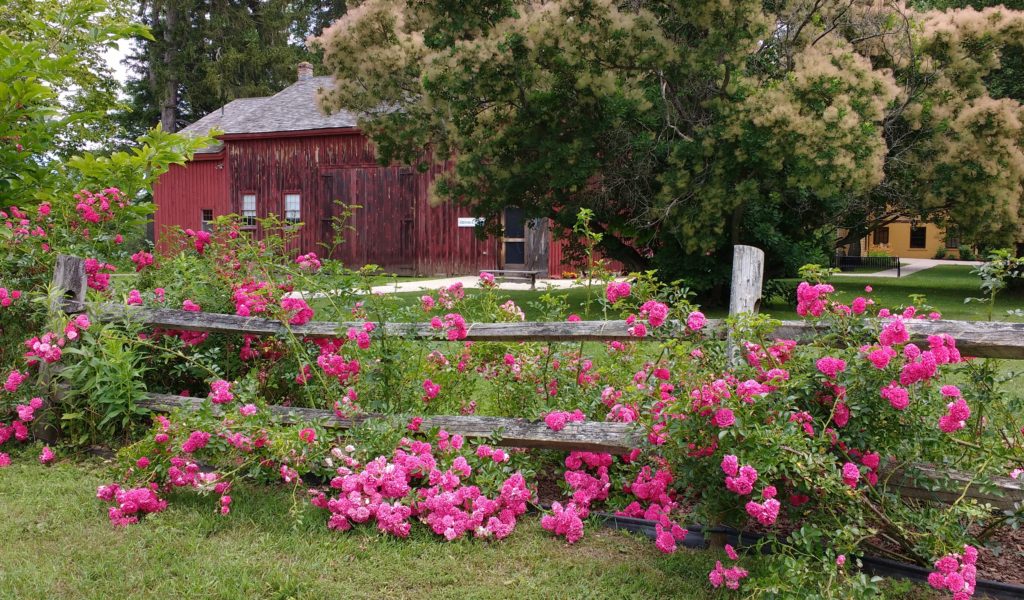 The grounds at Arrowhead and the nature trails behind the barn are open year-round sunrise to sunset for public use.