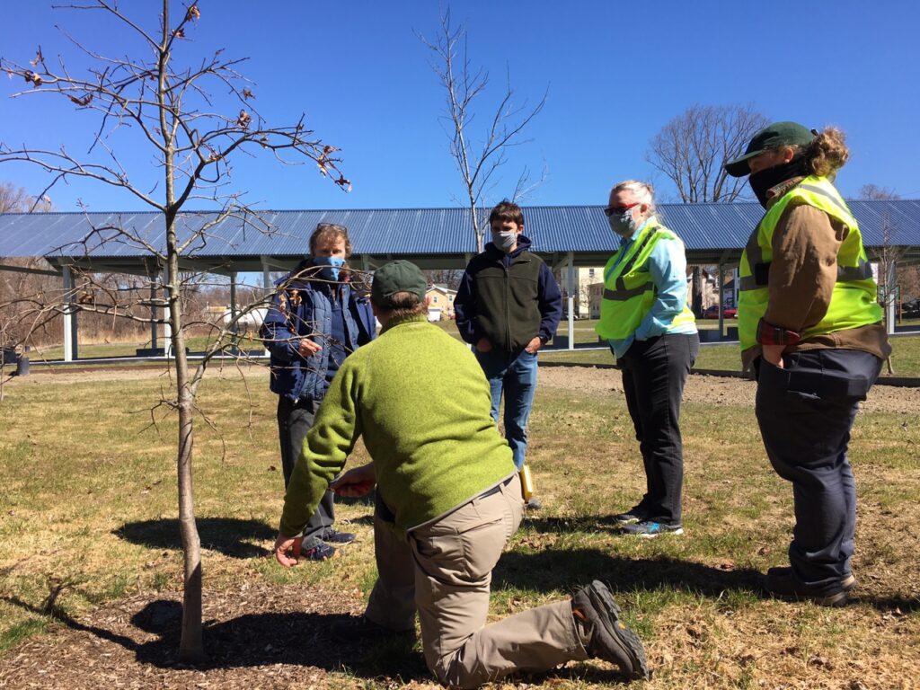 Pictured (background, left to right): Jane Winn and Noah Henkenius of the Berkshire Environmental Action Team, Karen Pelto of Downtown Pittsfield, Inc., Nicolle Freeman of the Massachusetts Department of Conservation and Recreation. Foreground: Jay Girard