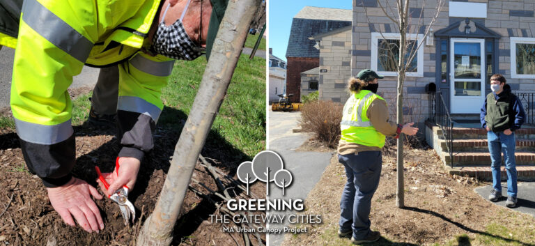 What you need to know about Pittsfield’s Greening the Gateway Cities Program Pittsfield MA