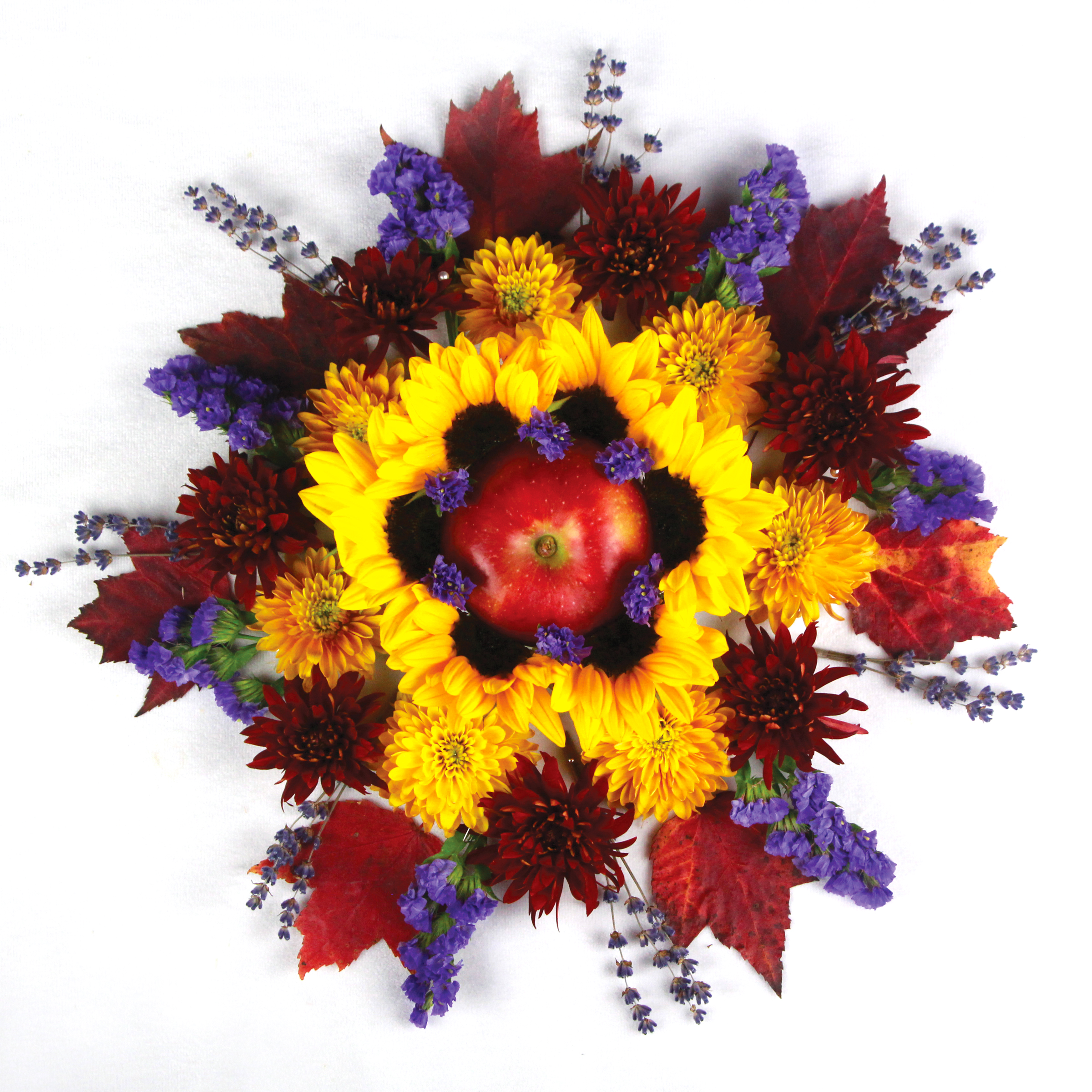 Elizabeth Nelson “Apple and Sunflower Mandala”