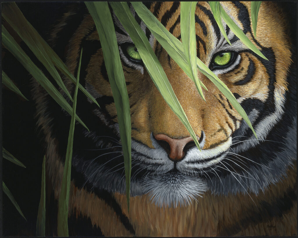 Mary Anne Pellegrini "Tiger in Grass" on view in the Lee Bank window!