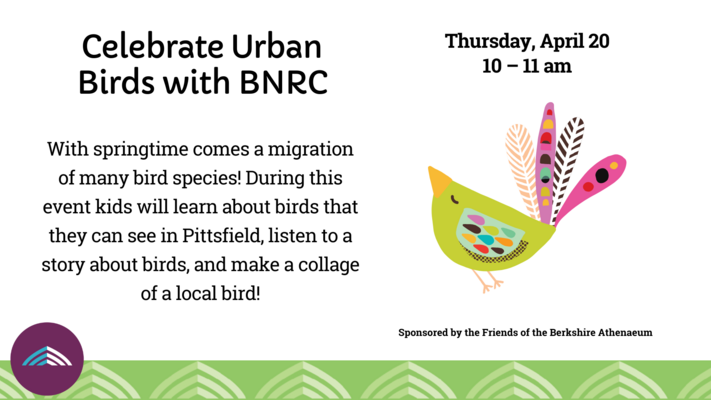 Celebrate Urban Birds With BNRC