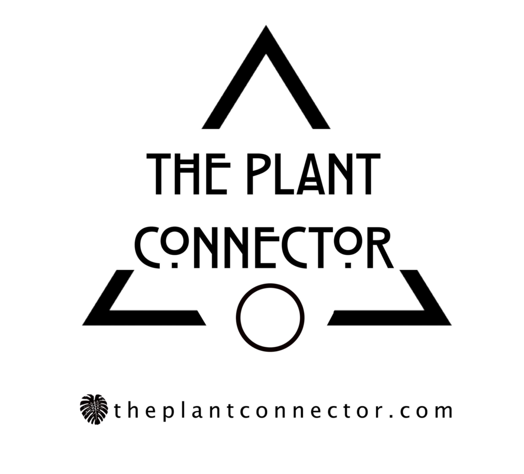 The Plant Connector, Pittsfield MA