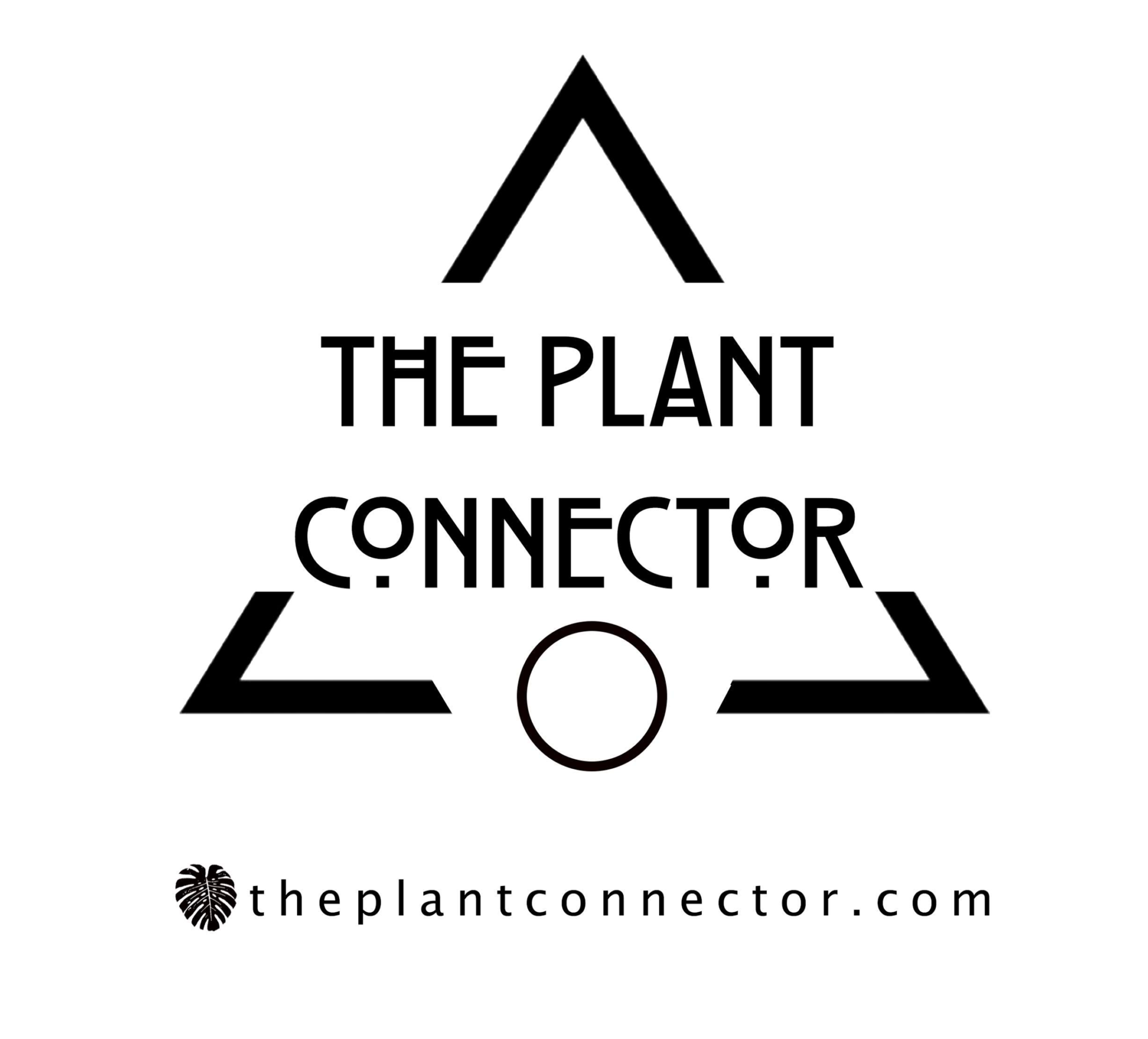 The Plant Connector - Downtown Pittsfield Western Massachusetts The ...