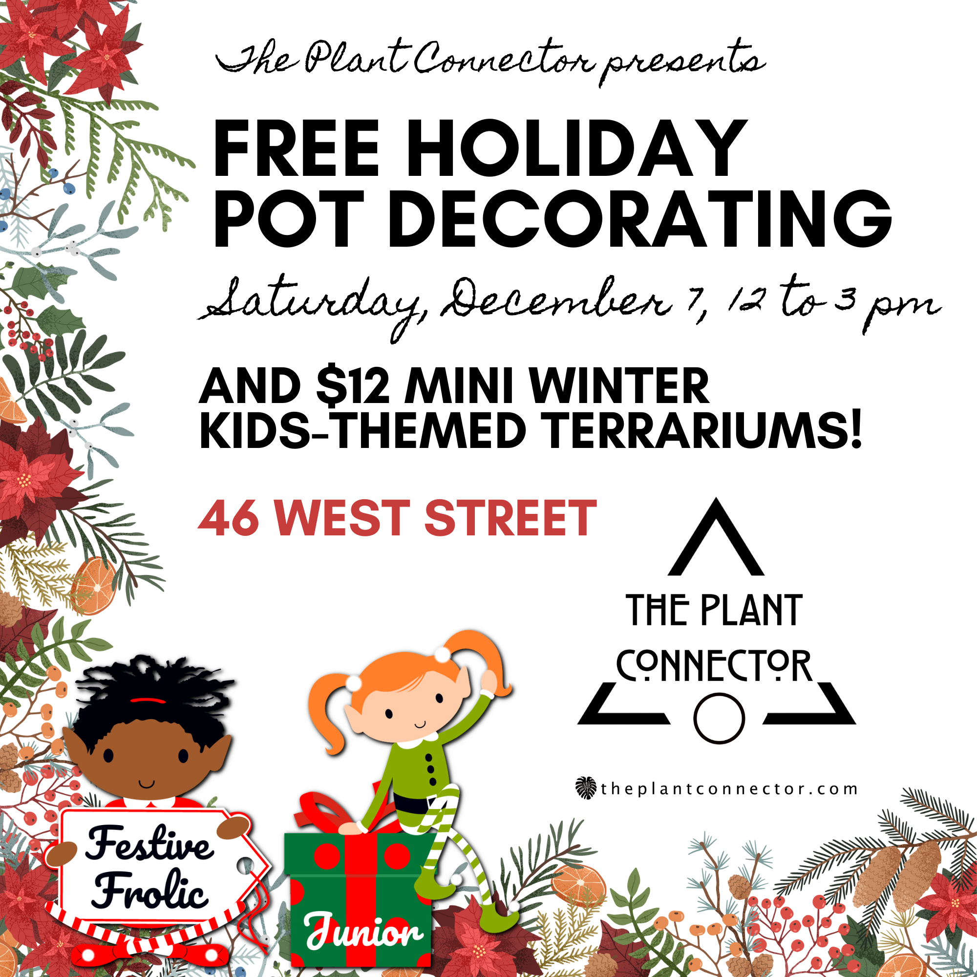 Free Holiday Pot Decorating Drop-in at The Plant Connector