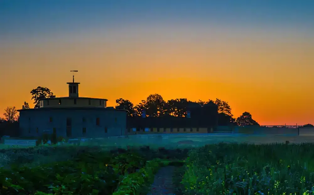 The Golden Hour Garden Party