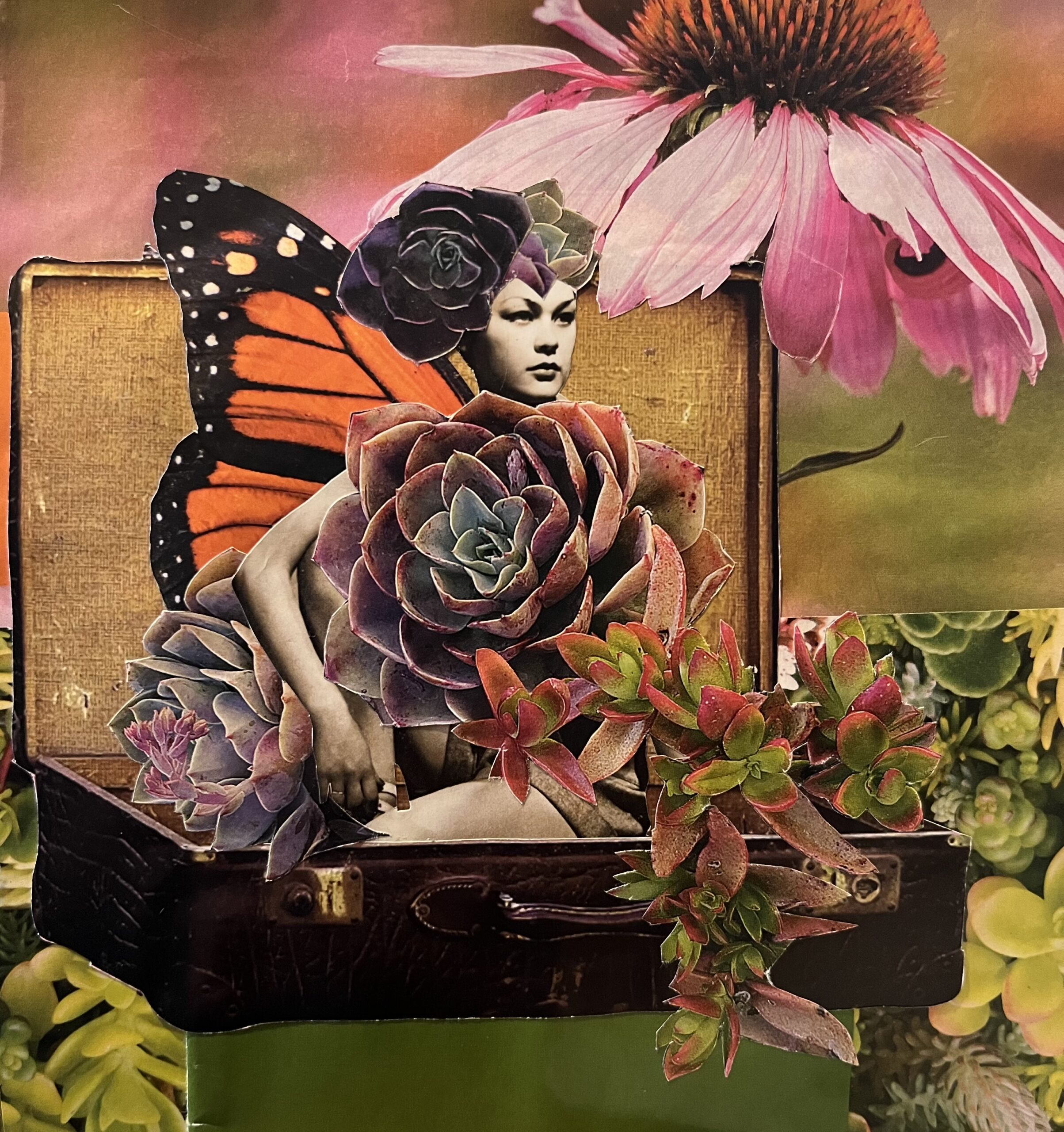 Solarium Plant Shop, 46 West Street, will feature “Layered”- Visionary Alchemy of Paper, Scissors & Glue by Margo Serina